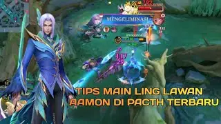 TIPS BERMAIN LING MELAWAN HERO AAMON