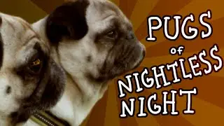 Pugs of nightless night
