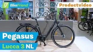 Pegasus Lucca 3 NL - BikeFriend Productvideo