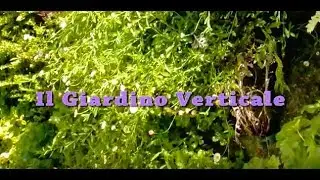 Il giardino verticale