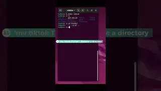 Organize Your Files Like a Pro!   #UbuntuHacks
