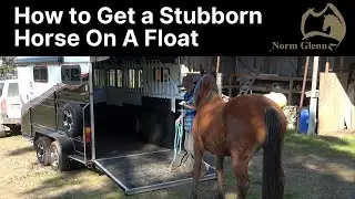 How To Load A horse On An Angle Float or Horse Float  - Timing Is Everything