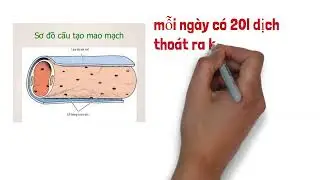 l&aacute; l&aacute;ch _ hạch khổng lồ của cơ thể.