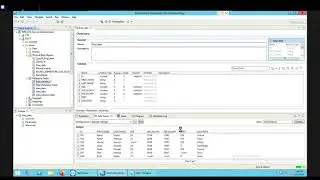 2.1 Creating Empty Reference Table in IDQ