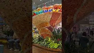 January 9, 2026 - Singapore Airport - Changi is amazing and lovely to spend time at.
