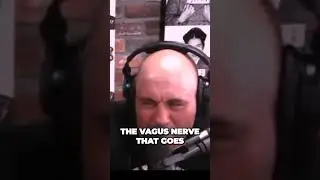 Debunking Fake Martial Arts Exposing Bullshit Artists Techniques