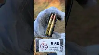 G9 Defense 54 Grain Barrier Blind Hollow Point 5.56x45 in Ballistic Gel