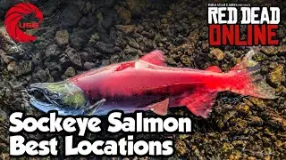 Sockeye Salmon Locations rdr2 Online - Red Dead Online Sockeye Salmon Location Guide