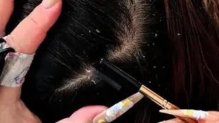 Latte&rsquo;s ASMR Scalp Care &mdash; Soft Small-Comb Guidance for Quiet, Steady Calm | No Talking