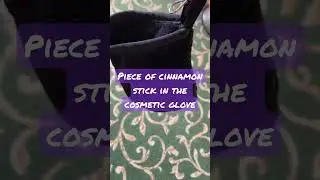 Laundry Rope Travel Dog Training Trick