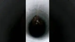Ржу 🤣