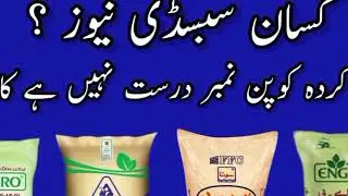 dap subsidy new update