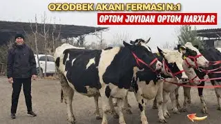 Ozodbek Aka Bugun Yorvordi Voy Doddd Bunaqasi Boʻlmagan ✈️✈️✈️🎯