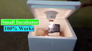 Best Small Incubator for Chicken Eggs | Mini Egg Incubator | Homemade Incubator