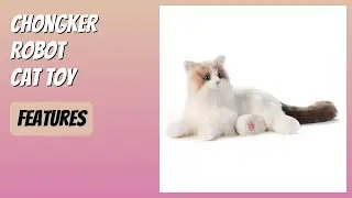 REVIEW (2025): Chongker Robot Cat Toy. Features