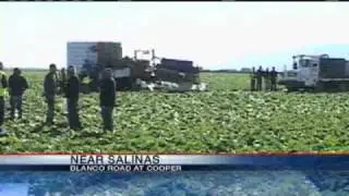 Farm Worker Killed In Salinas Lettuce Field