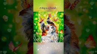 Dog and Butterflies (Hey Color) #dog #art #butterfly #trending #shorts