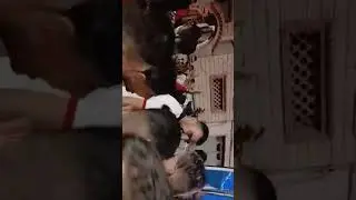 قروب الأفراح مع حمزة لبتار كلشي مبروك على صالح خونا