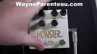 Jetter Monster Dual G124 & Fender Tone Master Twin Reverb
