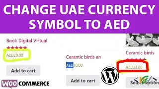 How to Change the UAE Currency Symbol د.إ to AED in WooCommerce | WordPress Currency Symbol Changing