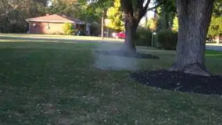 thunder bee with flour