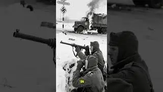 The Day Hitler Lost His Favorite Army Arrogance &rarr; Collapse #history #ww2