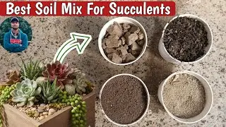 🔴Succulent Plant के लिए मिट्टी कैसे तैयार करें? ताकि जड़ें न गलें!
