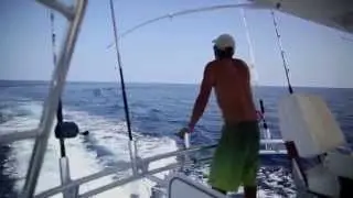 Sportsman's Adventures: 