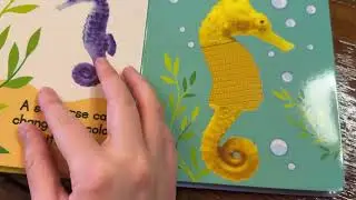 Ocean Friends Touch & Feel Book Review: Sweet Sensory Fun for Babies