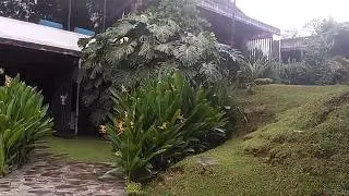 Dago Cliff Bandung
