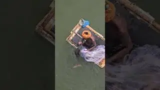 Fishing videos, Fishing in ocean, Big fish Fishing in ocean, Fishing freaks, fishing vlog #fish 62