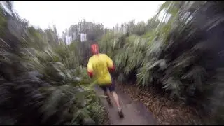 Extreme workout - the art of trail running in Hong Kong