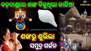 ଶଙ୍ଖରୁ ଶୁଭିଲା ସମୁଦ୍ର ଗର୍ଜନ | ବଡ଼ଦାଣ୍ଡରେ ଶଙ୍ଖ ବିକୁଥିଲା କାଳିଆ | LORDJAGANNATH | PURI | DIVOTIONAL  |