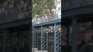 Indian armour dive ll indian army ll vacation ll funny jump ll natural river