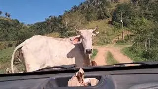 indo pra caiçara buscar o leite 