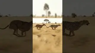 Cheetah vs. Greyhound: Who Wins The Speed Race? 🐆🏃&zwj;♂️