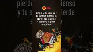 Te Pierdo Y Te Pienso - Nelson Vel&aacute;squez