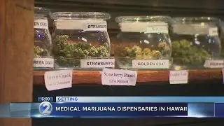 Medical marijuana task force recommends dispensaries in Hawaii