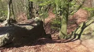 Am Heidentempel bei Tecklenburg im Teutoburger Wald