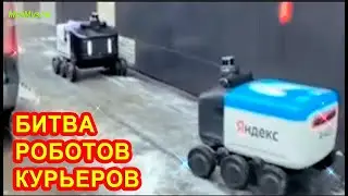 Два робота курьера показали мастер класс как разъехаться на узком участке.