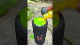 Green yellow bass test