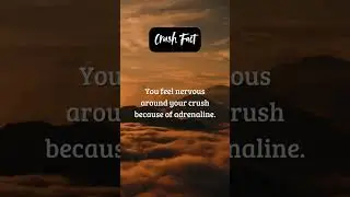 Crush Fact - BrainPills