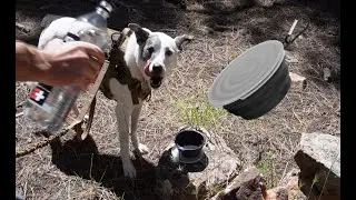 Camping Gear Review - Collapsible Dog Bowl with Cover Lid - Portable Foldable Hiking Pet Water Dish