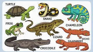 Reptiles Name | Reptiles Name in Hindi and English | Names of Reptiles #reptilesname