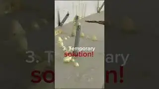 Is PU Injection good? #waterproofingexperts #waterproofingsolution #sghomes #youtubeshortsviral