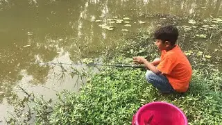 Hook Fishing - Traditional Hook Fishing - Village Daily Life (Part-233)