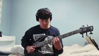 TECHNIQUE BASS (Ibanez SRMS805)