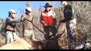 Limited Entry Rifle Elk Hunt - Lee Miller - MossBack