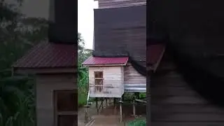sp anti galau TWB semakin hari semakin respon sp