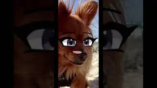 Gingie #dog #cute #cutedog #animation #funny